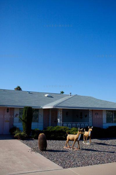 samaze_025-41 samaze_025-41