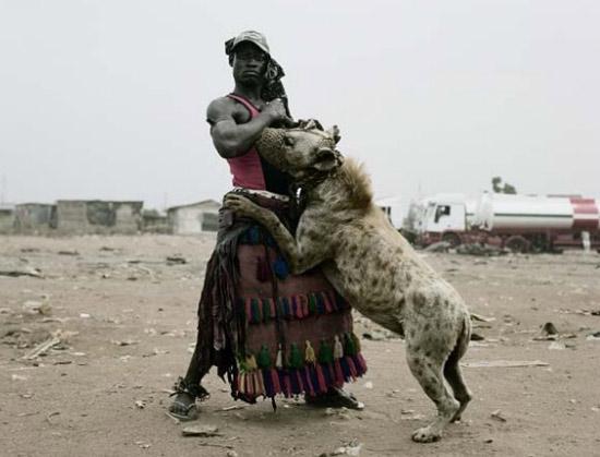 hyenapetafrica