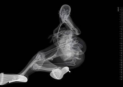 image006-2 image006-2