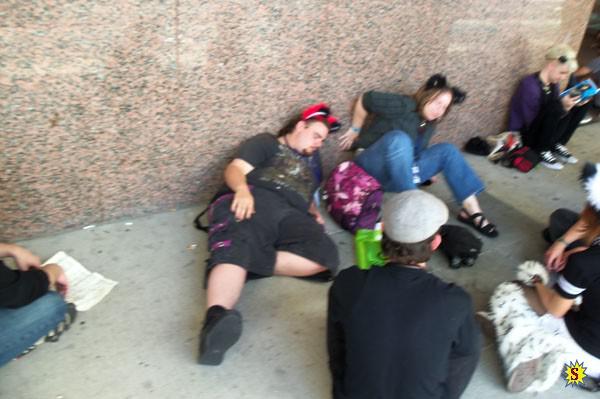 samaze_140-101 samaze_140-101