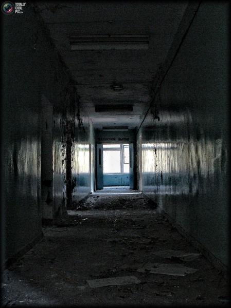 chernobyl_40 chernobyl_40