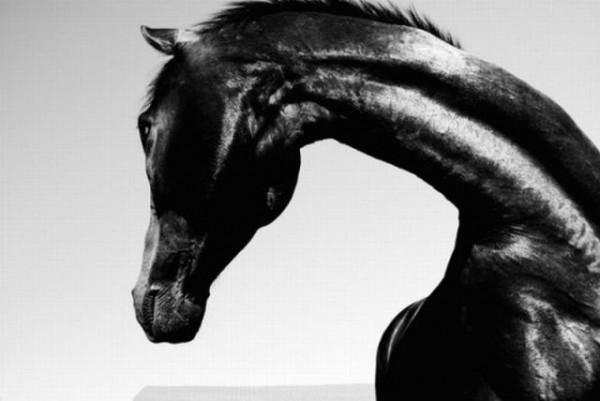 samaze_057-20