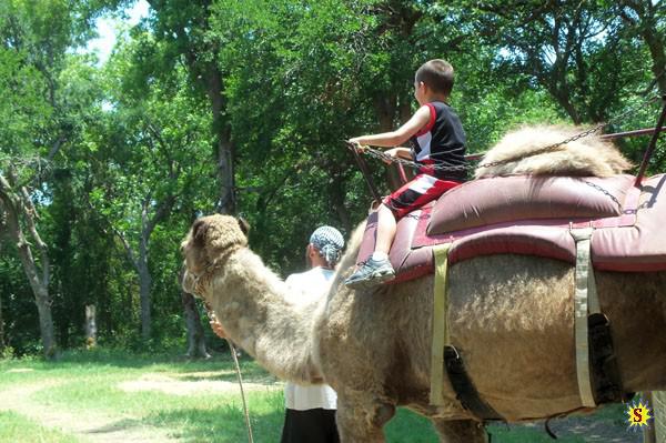 samaze_03-39 samaze_03-39