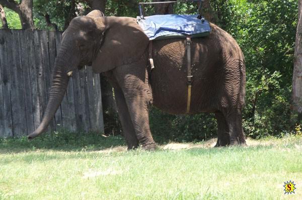 samaze_04-38 samaze_04-38