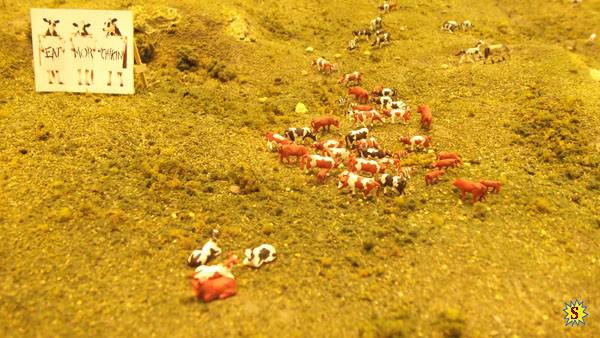 train_show_015 train_show_015