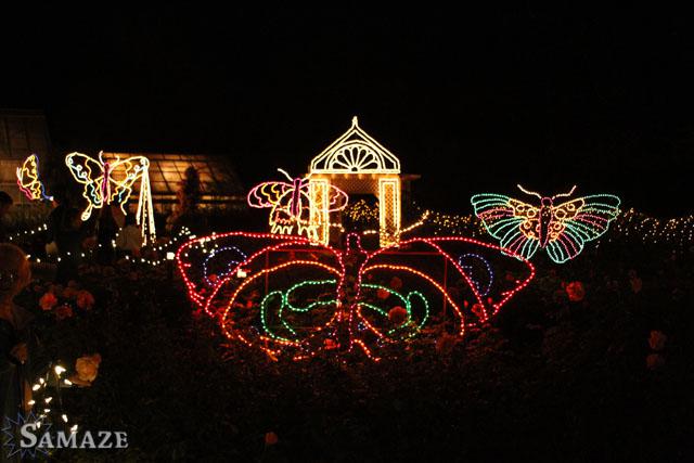 samaze_011-636 samaze_011-636