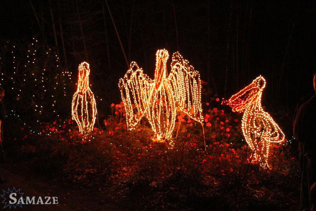 samaze_036-319 samaze_036-319