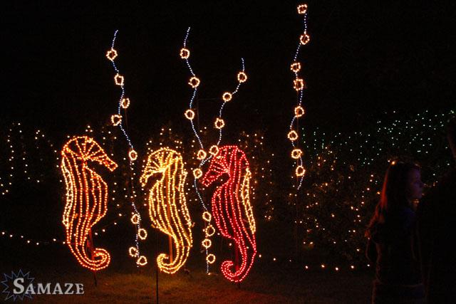 samaze_046-256 samaze_046-256