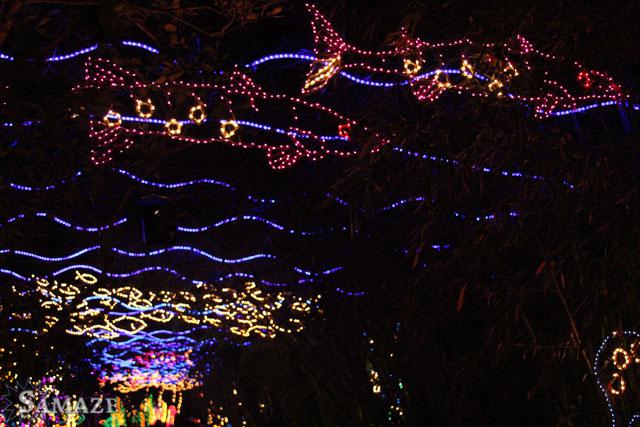 samaze_053-202 samaze_053-202