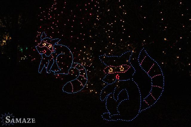 samaze_122-64 samaze_122-64