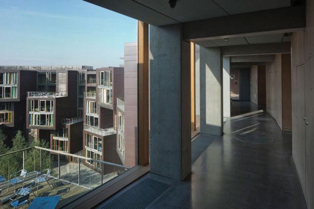 samaze_011-303 samaze_011-303