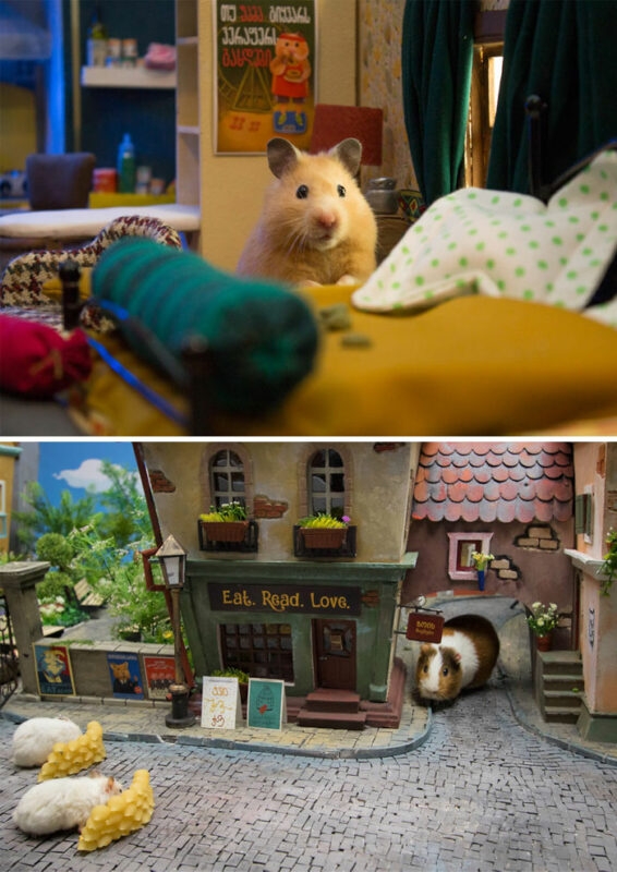 humanhamsters_024 humanhamsters_024