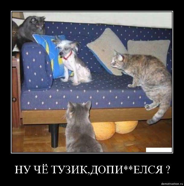 samaze_065-70