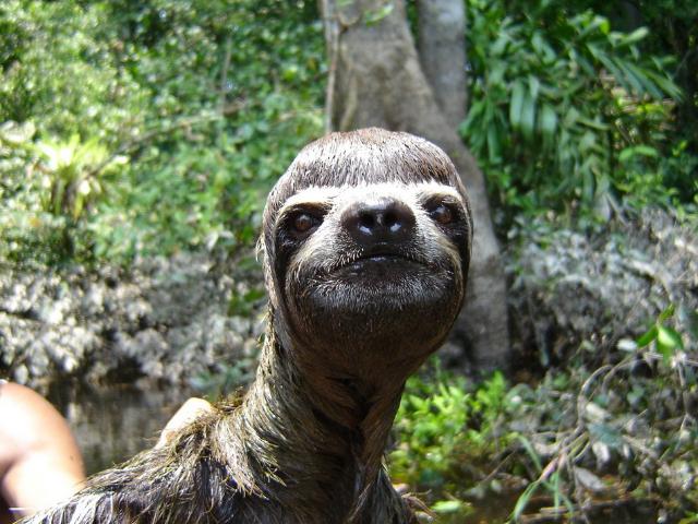 samaze_098-52