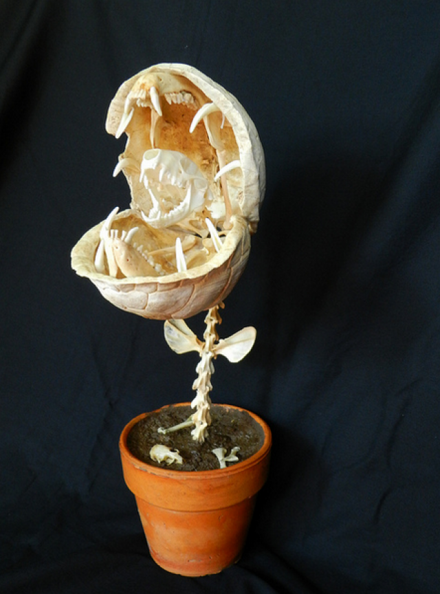 samaze_075-96