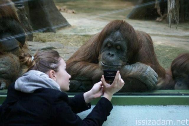 samaze_100-77