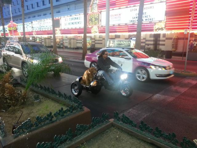 samaze_128-55