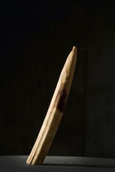 samaze_049-48 samaze_049-48