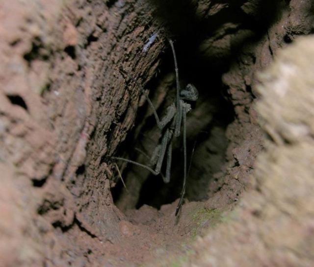 samaze_013-694 samaze_013-694