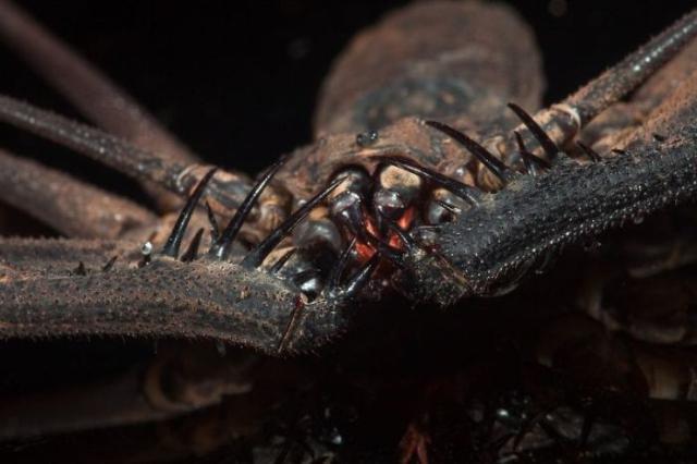 samaze_015-653 samaze_015-653