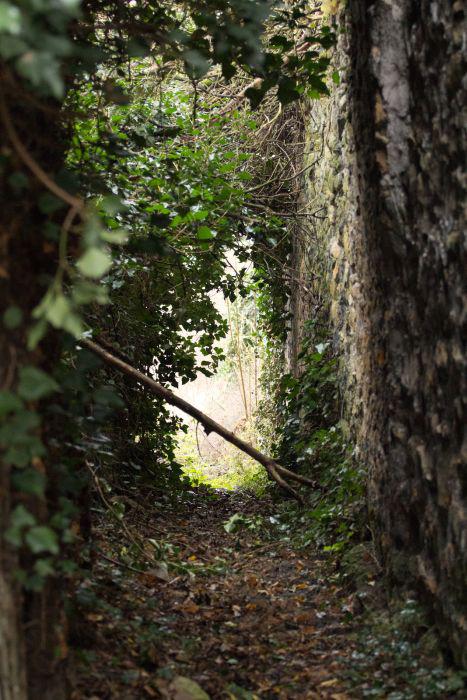 samaze_015-764 samaze_015-764