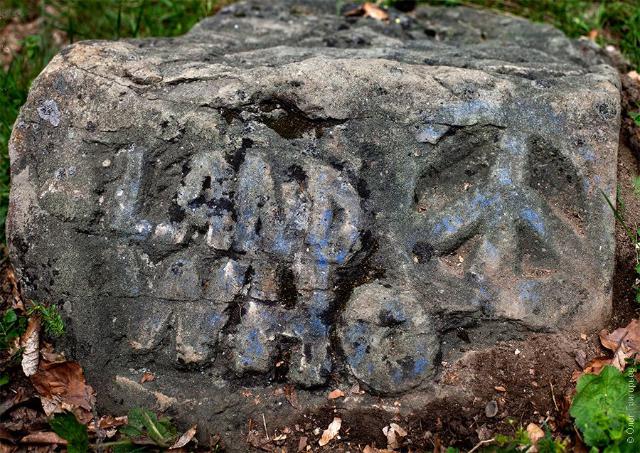 samaze_029-604 samaze_029-604