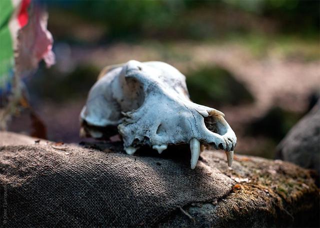 samaze_035-515 samaze_035-515