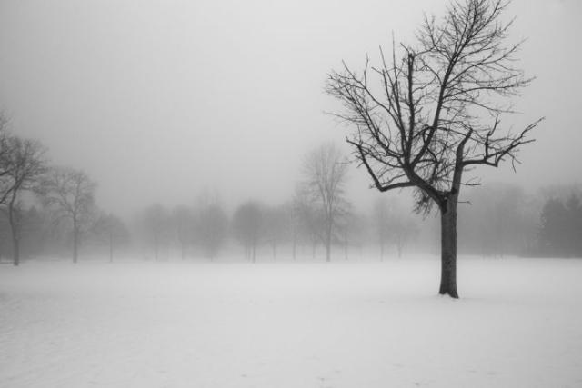 samaze_041-440 samaze_041-440