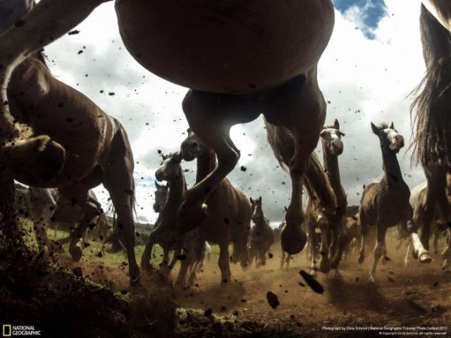 samaze_108-157 samaze_108-157