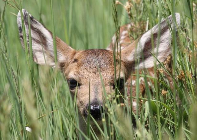 samaze_035-678 samaze_035-678