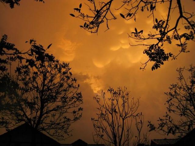 samaze_036-661 samaze_036-661