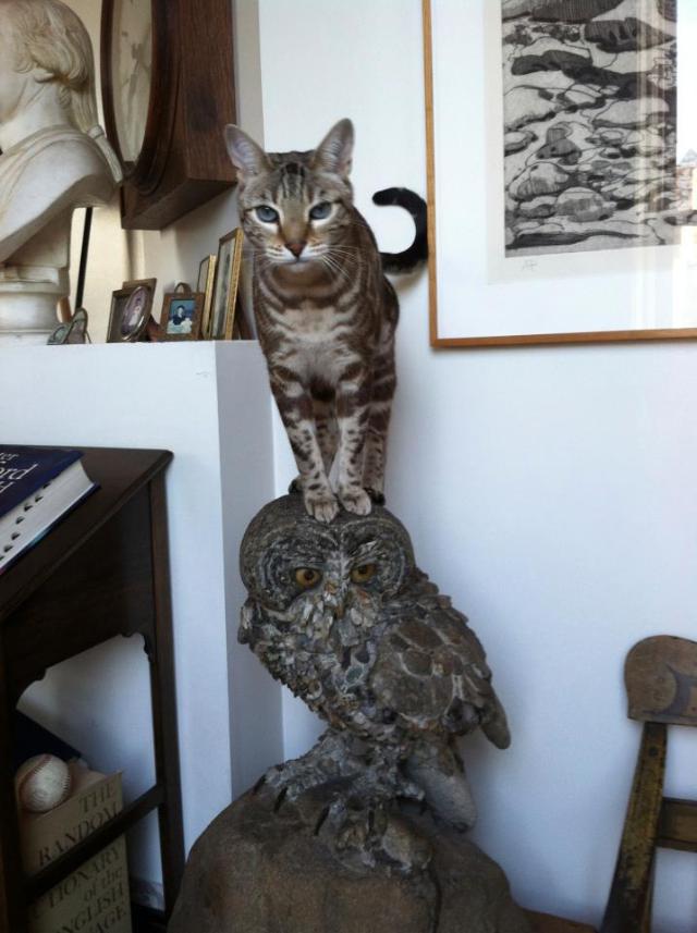 samaze_120-102
