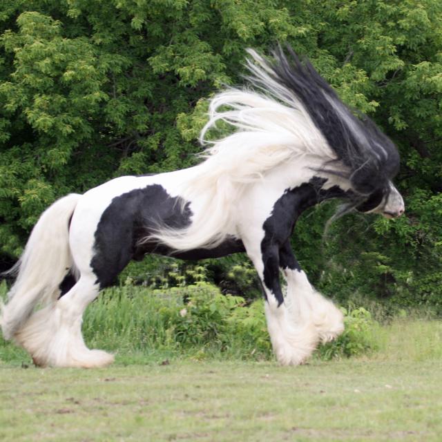 samaze_065-273