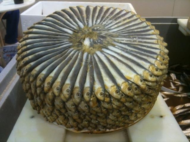 samaze_110-165