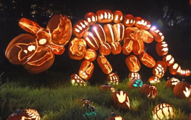 samaze_002-1507 samaze_002-1507