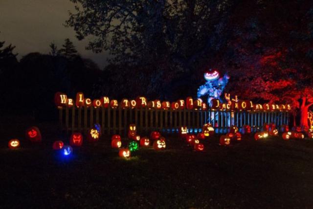 samaze_010-1453 samaze_010-1453