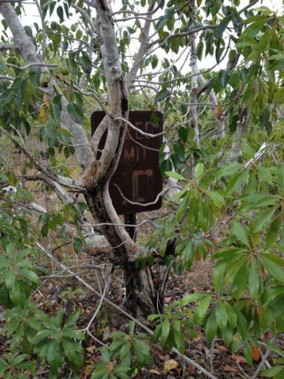 samaze_007-1348 samaze_007-1348