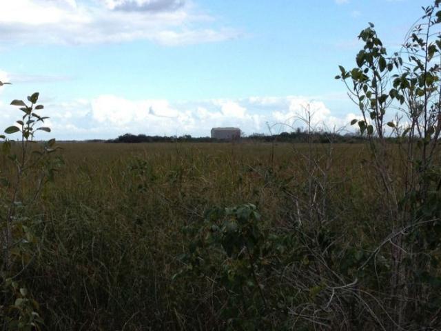 samaze_008-1330 samaze_008-1330