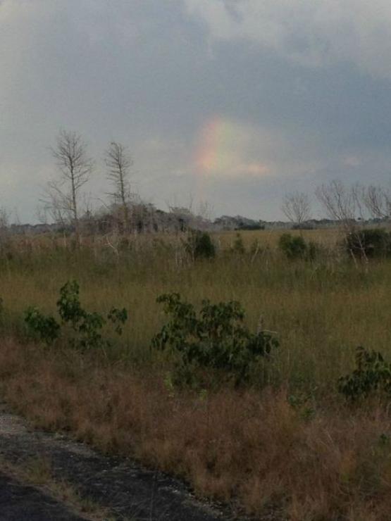 samaze_016-1151 samaze_016-1151