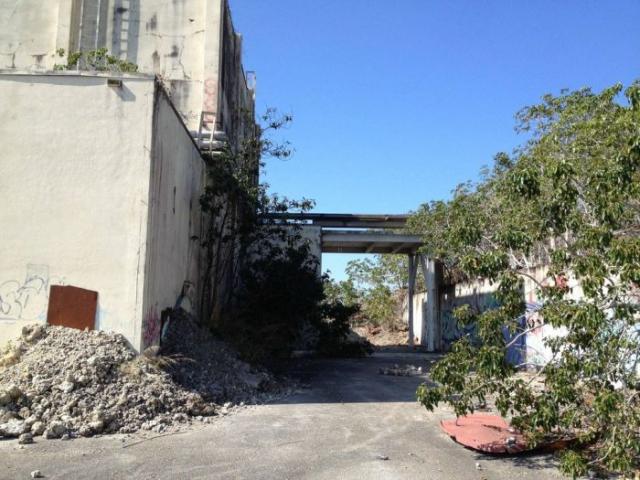 samaze_025-925 samaze_025-925