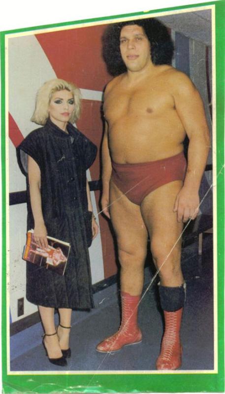 samaze_006-1112 samaze_006-1112