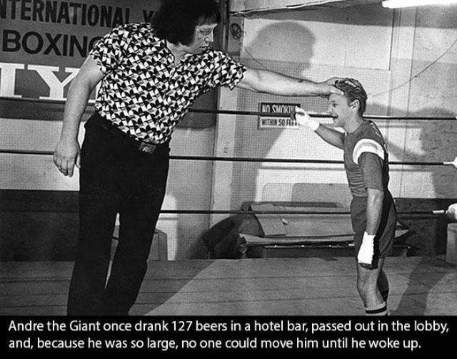 samaze_015-975 samaze_015-975