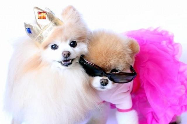 samaze_008-31 samaze_008-31