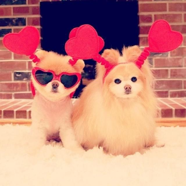 samaze_009-29 samaze_009-29