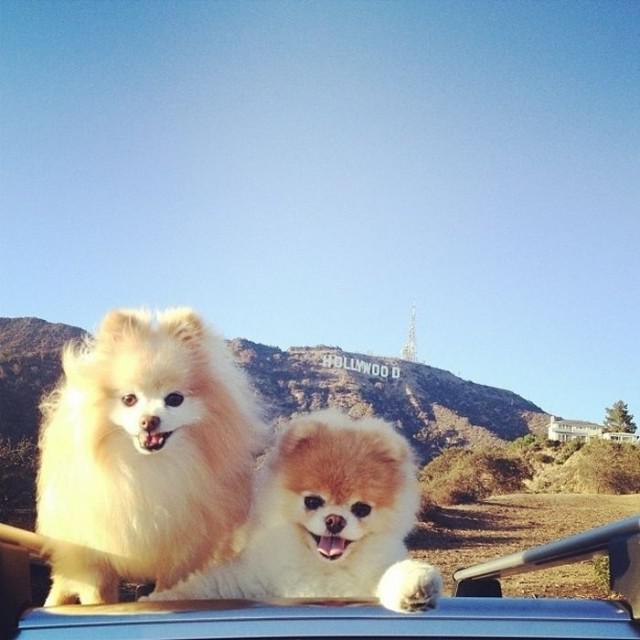 samaze_011-29 samaze_011-29