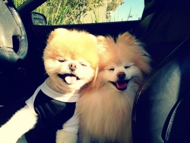 samaze_017-24 samaze_017-24