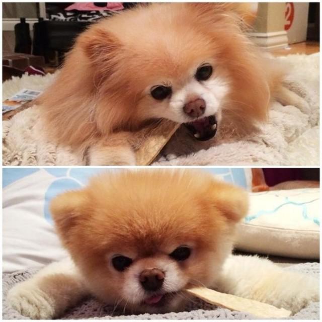 samaze_018-24 samaze_018-24