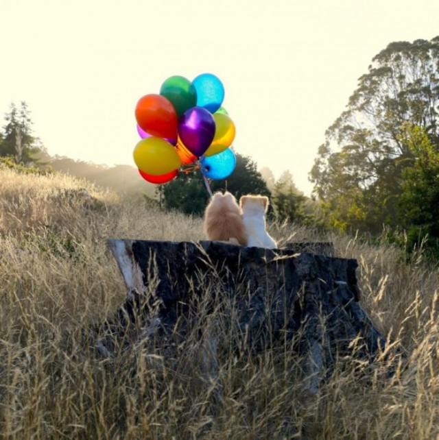 samaze_023-19 samaze_023-19