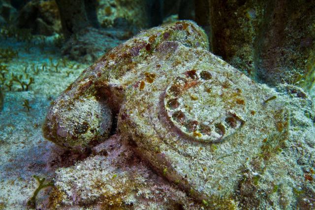 samaze_029-711 samaze_029-711