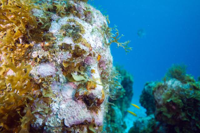 samaze_034-616 samaze_034-616